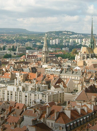 dijon